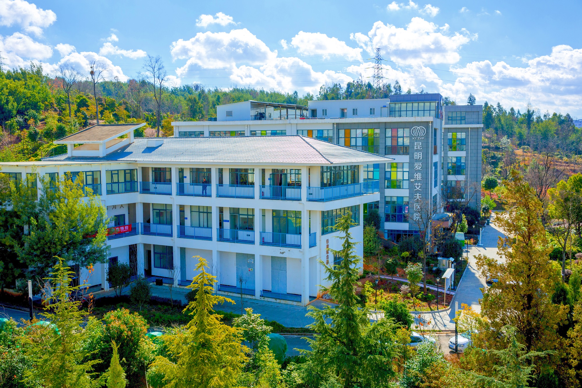 試管嬰兒醫(yī)院,昆明試管嬰兒醫(yī)院,昆明試管生殖中心